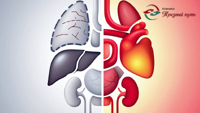 Печень, почки, сердце